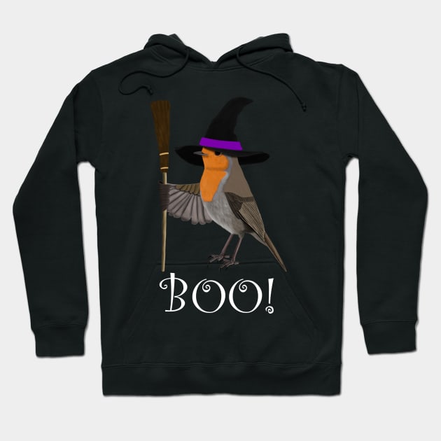 Robin Witch Bird Funny Halloween Ornithologist Gift Hoodie by jzbirds